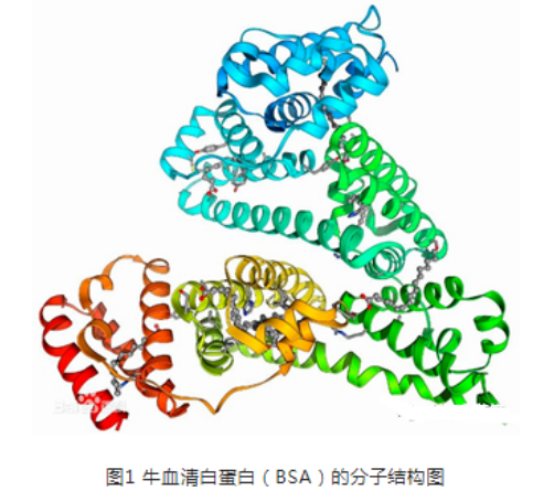 Hitamine-BSA组胺BSA