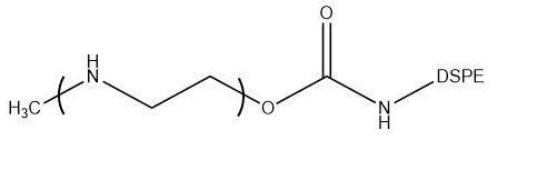 DSPE-PEI，DSPE-b-PEI，磷脂-聚乙烯亚胺，二棕榈酰磷脂酰乙醇胺-聚乙烯亚胺