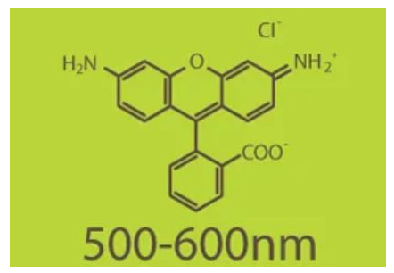 FITC-PEG2K-生物素