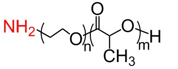 氨基-聚乙二醇-聚乳酸、NH2-PEG-PLA、pla-peg-nh2