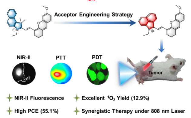 无重原子 NIR 半花青素光敏剂 (BHcy) 用于 808 nm 光介导的协同光动力疗法