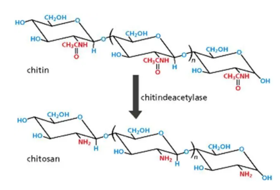 Iodoacetate-PEG-CS