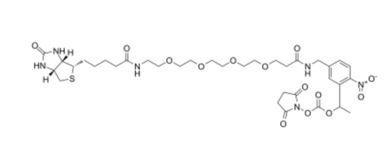 PC-Biotin-PEG4-NHS carbonate