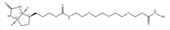 Biotin-PEG3-hydrazide