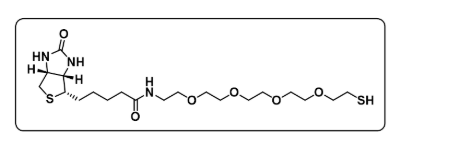 Biotin-PEG4-SH