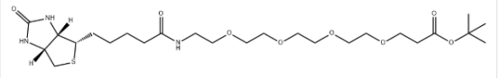 Biotin-PEG4-Boc