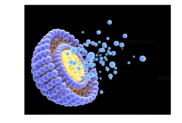 PC:Cardiolipin (60:40) Liposomes 