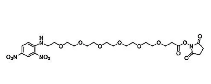 DNP-PEG6-NHS ester