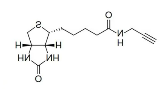 Biotin Alkyne