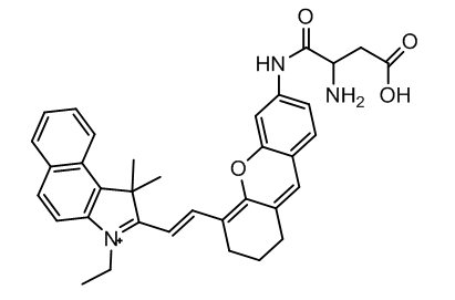 天冬氨酰氨基肽酶(DNPEP)荧光探针