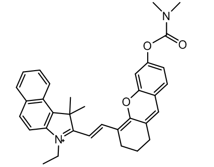 羧酸酯酶荧光探针