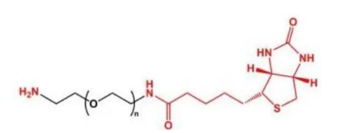  氨基-聚乙二醇-生物素