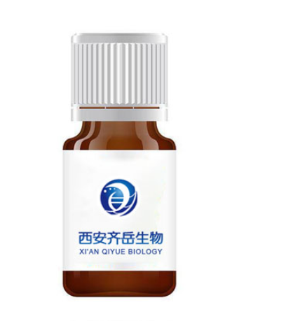  水溶性CuInS/ZnS 量子点  