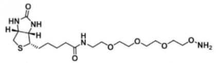 生物素-三乙二醇-氧胺盐酸盐