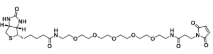 生物素-五乙二醇-马来酰亚胺