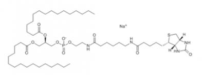 1,2-二棕榈酰-sn-甘油-3-磷酸乙酰胺-N-生物素