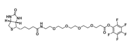 生物素-四乙二醇-五氟苯酯