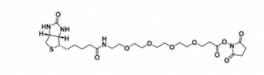 生物素-四乙二醇-活性酯