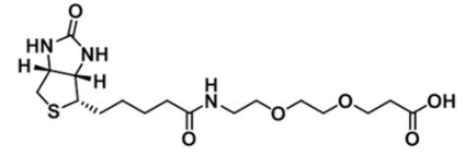 CAS:1365655-89-5；生物素二聚乙二醇丙酸；(+)-Biotin-PEG2-Acid