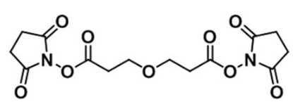 CAS:65869-64-9；双(2,5-二氧代吡咯烷-1-基) 3,3-氧基二丙酸酯；Bis-PEG1-NHS ester