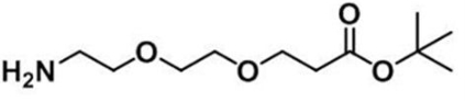 CAS 756525-95-8；氨基-二聚乙二醇-丙酸叔丁酯；Amine-PEG2-COOtBu