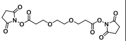 CAS:65869-63-8；双-二聚乙二醇-酯；Bis-PEG2-NHS ester