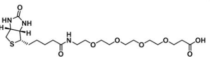 生物素-四聚乙二醇-羧基；Biotin-PEG4-COOH；Biotin-PEG4-Acid