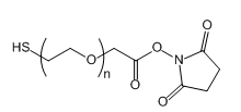 SH-PEG-SCM  巯基-聚乙二醇-琥珀酰亚胺羧甲基酯