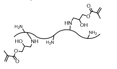 Silk Fibroin Methacryloyl（SilMA）