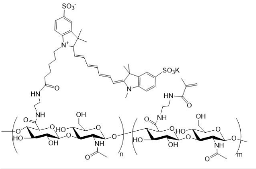 Cy7-HA-MA