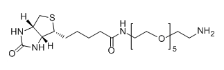 CAS No.：113072-75-6；Biotin-PEG5-NH2应用于医学研究