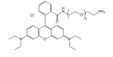 RB-PEG-NH2；Rhodamine B-PEG-Amine；罗丹明B-聚乙二醇-氨基