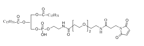 DPPE-PEG2-NH-Mal应用于医学研究