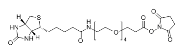 Biotin-PEG4-SPA；459426-22-3；Biotin-PEG4-NHS