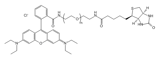 RB-PEG-Biotin；罗丹明B-聚乙二醇-生物素；Rhodamine B-PEG-Biotin