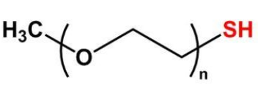 mPEG-SH；甲氧基聚乙二醇巯基；mPEG-Thiol