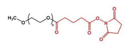 mPEG-SG，甲氧基聚乙二醇琥珀酰亚胺戊二酸酯，mPEG-Succinimidyl Glutarate ester