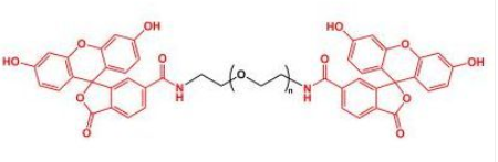 FITC-PEG-FITC；二荧光素聚乙二醇；Fluoresein-PEG-Fluoresein