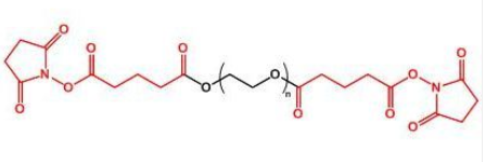 SG-PEG-SG；二琥珀酰亚胺戊二酸酯聚乙二醇；Succinimidyl Glutarate ester-PEG-Succinimidyl Glutarate ester