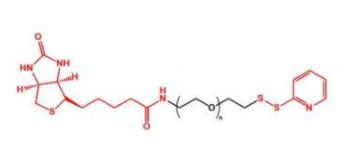 Biotin-PEG-OPSS；生物素聚乙二醇巯基吡啶；OPSS-PEG-Biotin