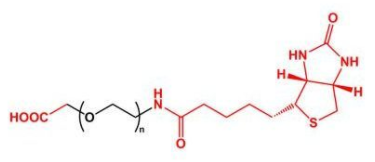 COOH-PEG-Biotin；羧基聚乙二醇生物素； Biotin-PEG-COOH