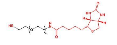 SH-PEG-Biotin；巯基聚乙二醇生物素；Biotin-PEG-SH