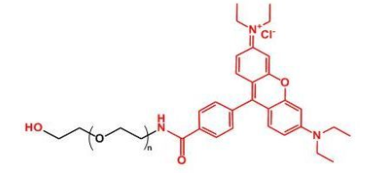 Rhodamine-PEG-OH；罗丹明聚乙二醇羟基；RB-PEG-OH