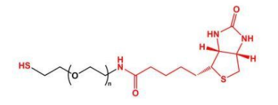 SH-PEG-Biotin；巯基聚乙二醇生物素；Biotin-PEG-SH