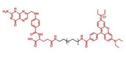 RB-PEG-FA；罗丹明聚乙二醇叶酸；Folate-PEG-RB