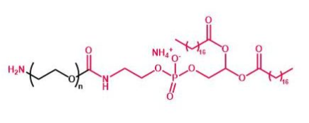 DSPE-PEG-NH2；磷脂聚乙二醇氨基；DSPE-PEG-Amine