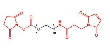 NHS-PEG-MAL；活性酯聚乙二醇马来酰亚胺；MAL-PEG-NHS