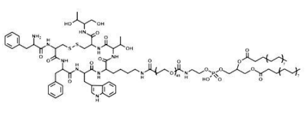 DSPE-PEG-OTC；磷脂-聚乙二醇-奥曲肽