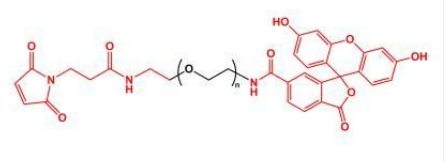 FITC-PEG-MAL，荧光素聚乙二醇马来酰亚胺，MAL-PEG-FITC
