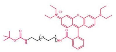 Boc-NH-PEG-RB；叔丁氧羰基聚乙二醇罗丹明；Boc-NH-PEG-Rhodamine B